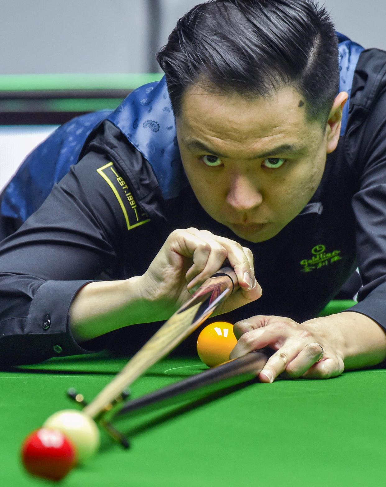 他们在夏季 他们在夏季